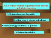 Civilinė teisė kaip teisės šaka skaidrės 11 puslapis