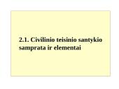 Civiliniai teisiniai santykiai  13 puslapis