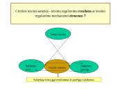 Civiliniai teisiniai santykiai  16 puslapis