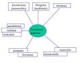 Civilinių teisių objektai skaidrės 11 puslapis
