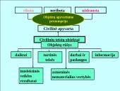 Civilinių teisių objektai skaidrės 4 puslapis