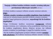 Ieškinio senatis skaidrės 15 puslapis