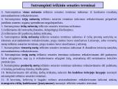 Ieškinio senatis skaidrės 7 puslapis