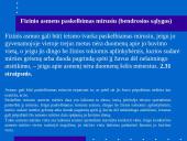 Fiziniai asmenys 14 puslapis