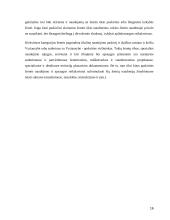 Žemės paskirties nustatymas ir keitimas 16 puslapis