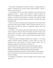 Statybos įmonės technologijos kiekybinis įvertinimas 2 puslapis