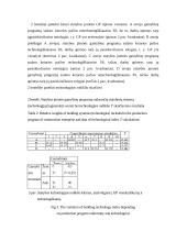 Statybos įmonės technologijos kiekybinis įvertinimas 7 puslapis