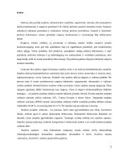 Statybos rangovų pasiūlymų vertinimų analizė 2 puslapis