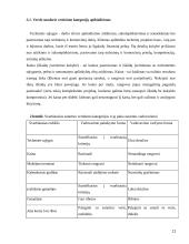 Statybos rangovų pasiūlymų vertinimų analizė 11 puslapis