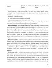 Statybos rangovų pasiūlymų vertinimų analizė 12 puslapis