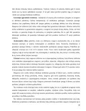 Statybos rangovų pasiūlymų vertinimų analizė 13 puslapis