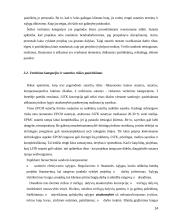 Statybos rangovų pasiūlymų vertinimų analizė 14 puslapis