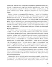 Statybos rangovų pasiūlymų vertinimų analizė 16 puslapis