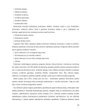 Statybos rangovų pasiūlymų vertinimų analizė 19 puslapis