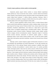 Statybos rangovų pasiūlymų vertinimų analizė 4 puslapis