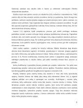 Statybos rangovų pasiūlymų vertinimų analizė 5 puslapis