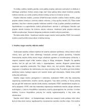 Statybos rangovų pasiūlymų vertinimų analizė 6 puslapis