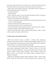 Statybos rangovų pasiūlymų vertinimų analizė 7 puslapis