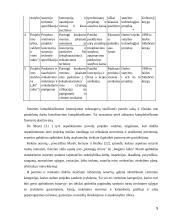 Statybos rangovų pasiūlymų vertinimų analizė 9 puslapis