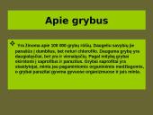 Grybai, grybų rūšys 2 puslapis