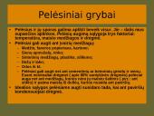 Grybai, grybų rūšys 12 puslapis