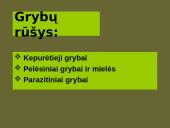 Grybai, grybų rūšys 3 puslapis