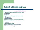 Sutarties sudarymo tvarka 11 puslapis