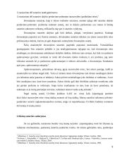 Mainų sutartis, jos teisinis įvertinimas teorijoje ir praktikoje 5 puslapis