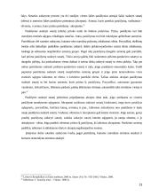 Sutarties standartinės sąlygos 13 puslapis
