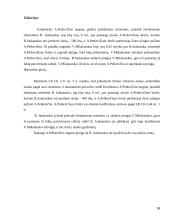 Sutarties standartinės sąlygos 16 puslapis