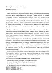 Sutarties standartinės sąlygos 3 puslapis