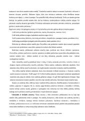 Sutarties standartinės sąlygos 5 puslapis