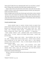 Sutarties standartinės sąlygos 7 puslapis