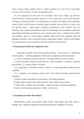 Papročiai tarptautinėje privatinėje teisėje 4 puslapis