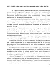 Kito asmens turto administravimas 3 puslapis