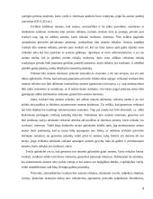 Kito asmens turto administravimas 6 puslapis