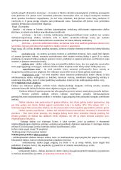 Konspektas civilinės teisės 12 puslapis