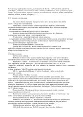 Konspektas civilinės teisės 6 puslapis