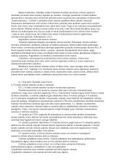 Konspektas civilinės teisės 8 puslapis