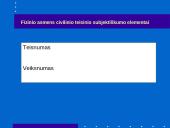 Fiziniai asmenys teisėje 5 puslapis