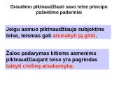 Civilinių teisių įgyvendinimas ir gynimas skaidrės 17 puslapis
