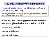 Civilinių teisių įgyvendinimas ir gynimas skaidrės 4 puslapis