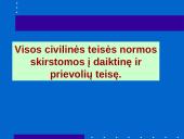 Daiktinės teisės bendrieji klausimai  13 puslapis