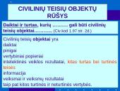 Daiktinės teisės bendrieji klausimai  17 puslapis