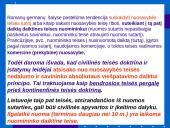 Nuosavybės teisės bendrieji klausimai 13 puslapis