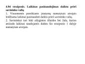 Nuosavybės teisės apsauga ir gynimas  8 puslapis