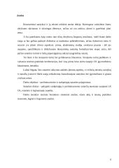 Preliminariosios ir rankpinigių sutarties palyginimas 2 puslapis