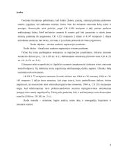 Teisinės sandorio registracijos pasekmes 2 puslapis