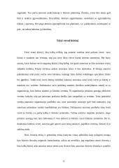 Turtinės autorių teisės samprata 11 puslapis