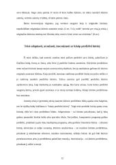 Turtinės autorių teisės samprata 12 puslapis